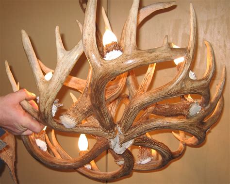 Deer Antler Lamps 10 Tips Fot Buying Warisan Lighting