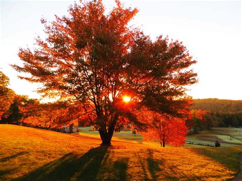 Laurel Lake Camp & Retreat Center – Laurel Lake Camp & Retreat Center
