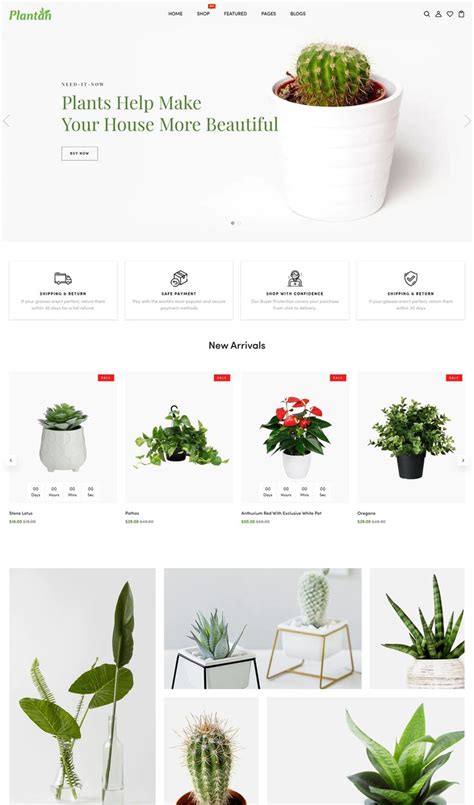 Gardening Houseplants Shopify Theme Plant Nursery Website Design