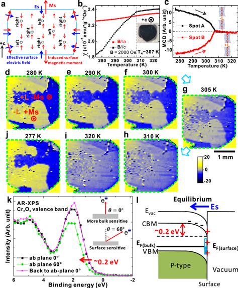 Topological surface magnetism and Néel vector control in a