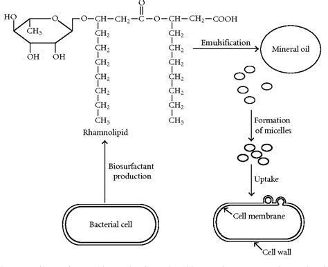 Figure From Microbial Degradation Of Petroleum Hydrocarbon