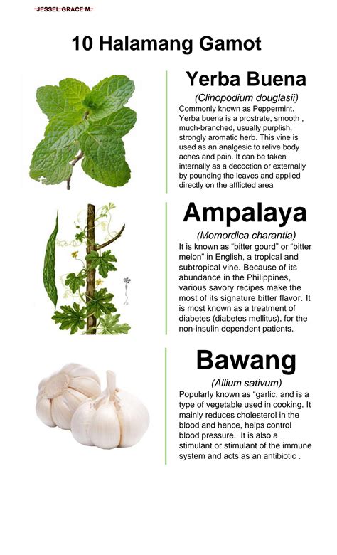 SOLUTION: Pharmacy botany sampung halamang gamot sa pilipinas - Studypool