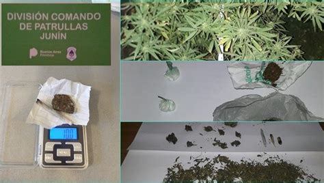 Secuestran 75 Gramos De Marihuana Y 5 De Cocaína En Distintos Allanamientos