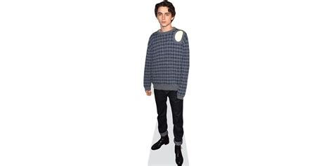 Timothee Chalamet Casual Cardboard Cutout Celebrity Cutouts