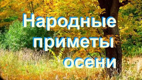 Народные приметы осени - YouTube