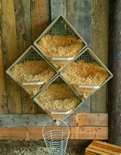 Diy Nesting Boxes For Chickens