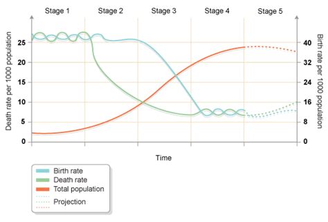 Demographic Transition Analysis Ap Human Geography