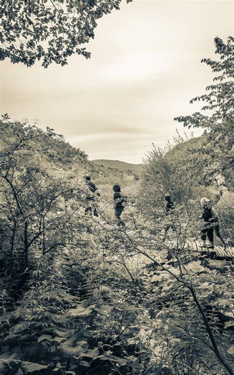 Turistas Paisajistas Naturales En Una Pasarela Parque Nacional De