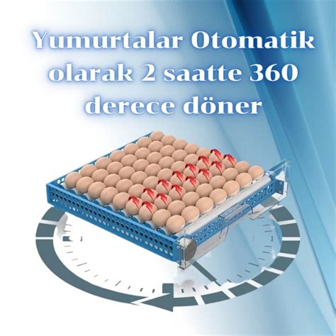 2023 Model Çekmeceli Tam Otomatik 64 Yumurtalık Hobi Kuluçka Makinesi