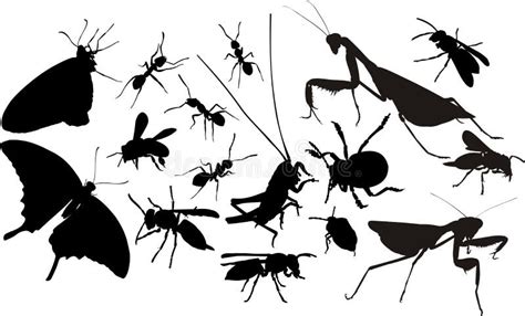 Sistema Del Vector De La Silueta De Los Insectos Ilustración del Vector