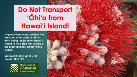 Department Of Agriculture Merrie Monarch Travelers Again Reminded Of