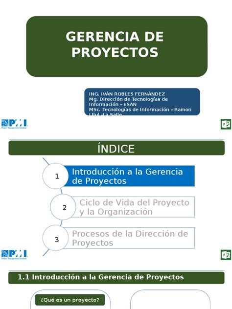 PDF Introducción Gerencia de Proyectos DOKUMEN TIPS