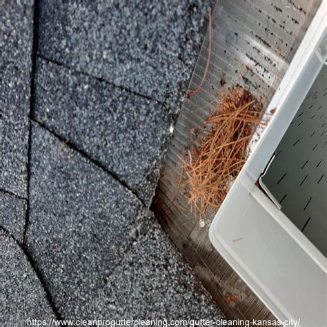 Gutter Cleaning Kansas City Clean Pro Gutter