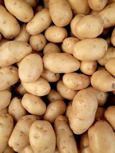 Yellow A Grade Potato Packaging Size 50kg At Rs 580packet In Mainpuri Id 23537831997