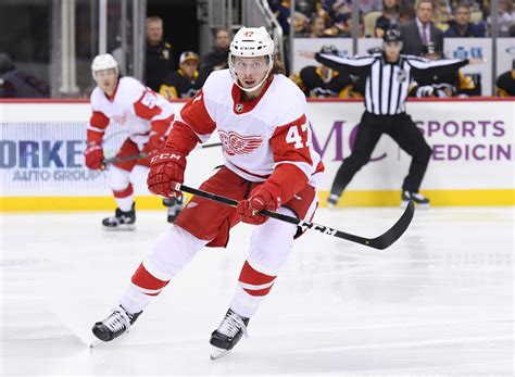 The Detroit Red Wings The Rebuild Hinges On Youth