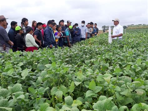 ANAPO plantea usar biotecnología para aprovechar el alza del precio de