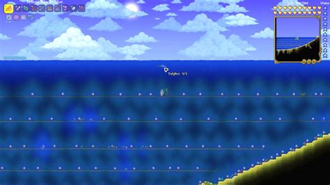 What Is A Dolphin Terraria 14 Youtube