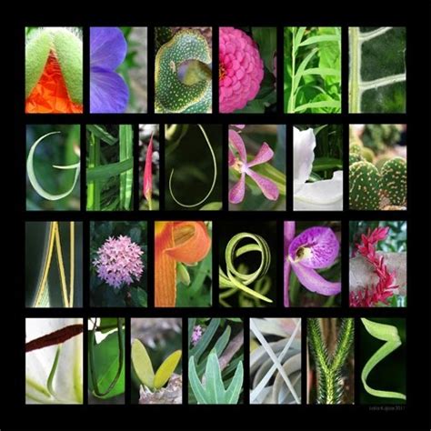 20 best images about natural alphabet on Pinterest | The alphabet, Fonts and Typography