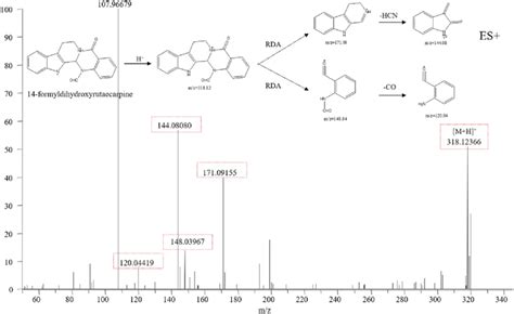 Typical Mass Spectrum And Proposed Fragmentation Pathways Of