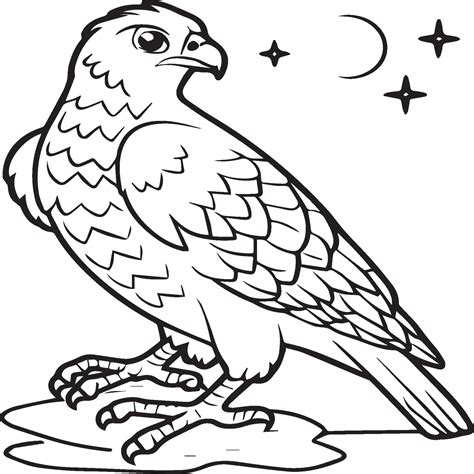 Falcon Coloring Pages Falcon Bird Outline For Coloring Book 42973286 Vector Art At Vecteezy