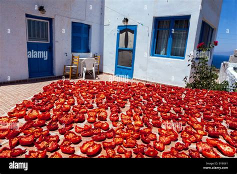 Sun Dried Tomatoes Greek Village Oia Santorini Greece Tomato Food