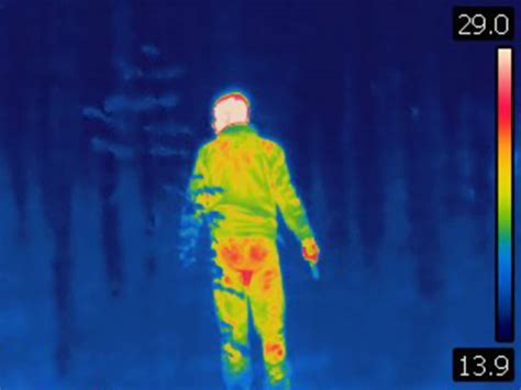 Thermal Imaging Stock Photos, Pictures & Royalty-Free Images - iStock 
