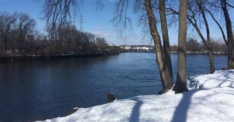 Good Samaritan Jumps Into River In Belleville To Help Woman In Sinking