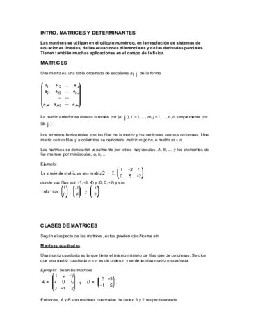 Matrices Y Determinantes Pdf