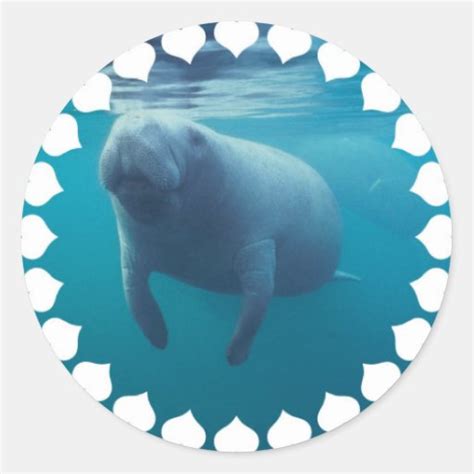 Manatee Stickers | Zazzle