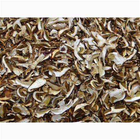 Продам сушеные Белые грибы, купить сушеные Белые грибы, Черниговская ...
