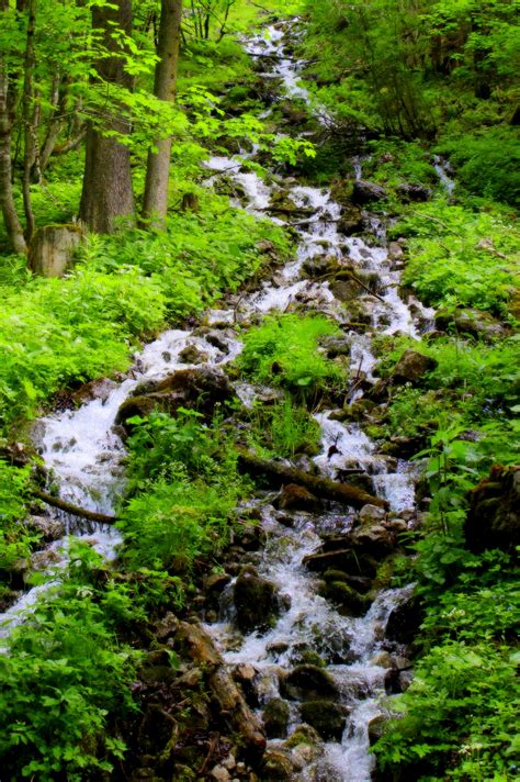 Kostenlose Foto Landschaft Baum Wasser Natur Wald Wasserfall