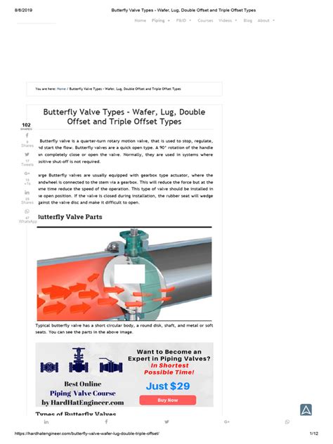 Butterfly Valve Types Wafer Lug Double Offset And Triple Offset