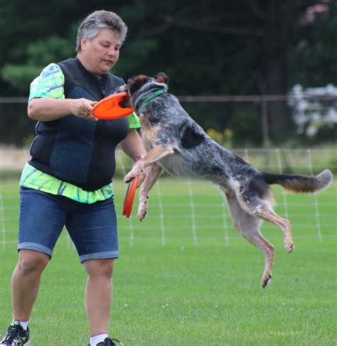 W2w2019 Demos 061 Humane Society For Greater Nashua New Hampshire