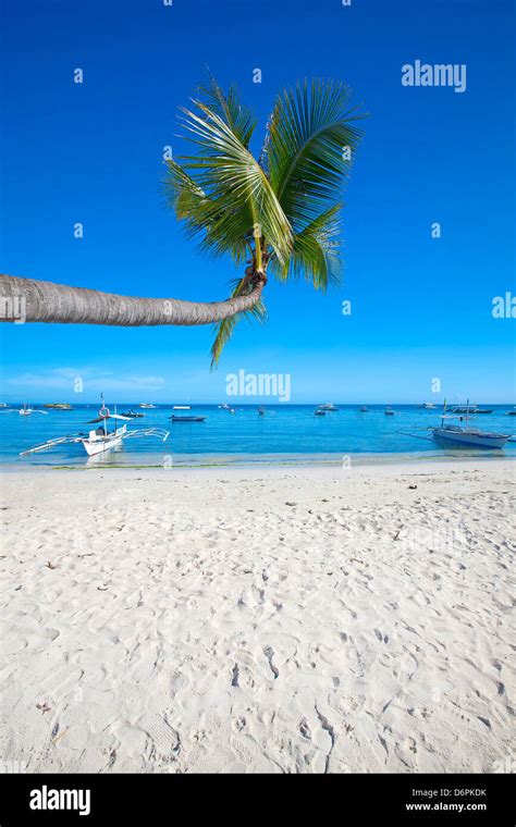 Panglao Island Bohol Stock Photo Alamy