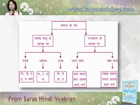 Mind Maps Of Hindi Grammar