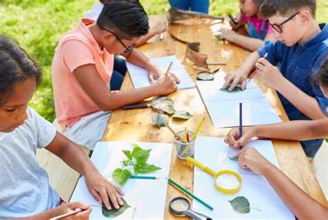 5 Actividades Imprescindibles De Un Campamento De Verano Cuaderno Rojo