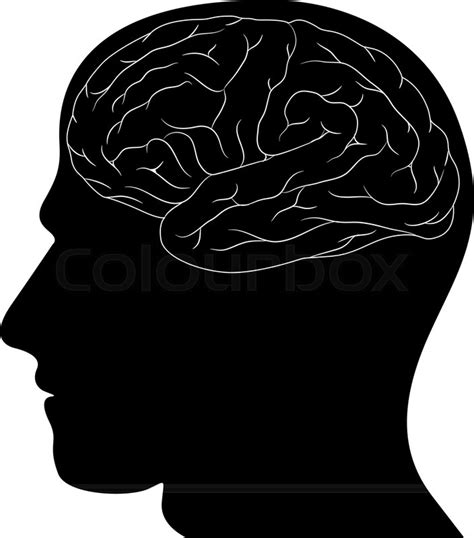 Human Silhouette Head And Brain Wiev Stock Vector Colourbox