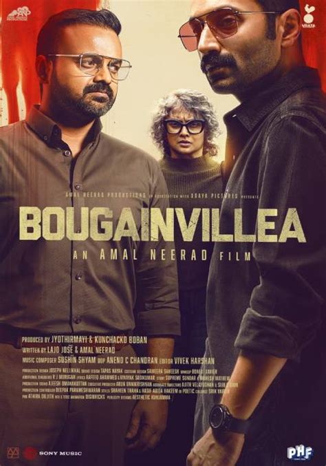 Bougainvillea Now Showing Book Tickets Vox Cinemas Oman