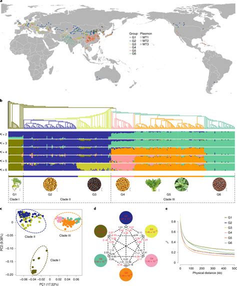 Genomic Insights Into The Origin Domestication And Diversification Of