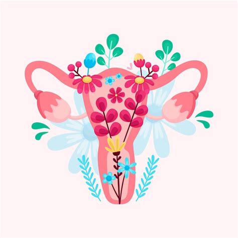 Premium Vector Female Reproductive System With Flowers