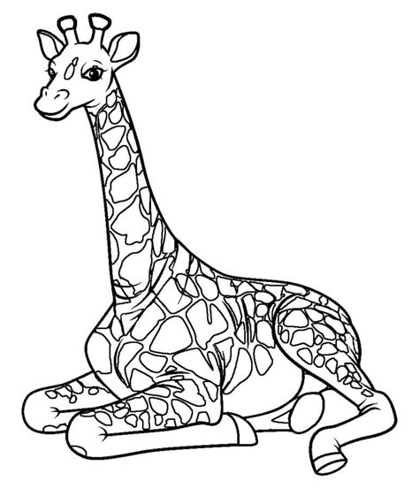 Desenhos De Girafa Para Colorir Pintar E Imprimir ColorirOnline