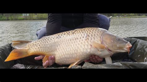 Mk Carp Fishing Trailer Youtube