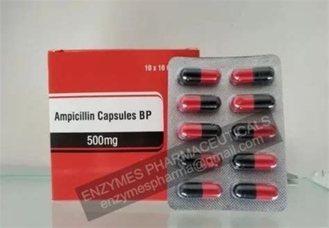 Ampicillin Capsules 500 Mg At 150 Box Ampicillin In Surat ID