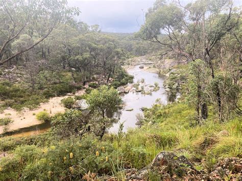 Camp At Cypress Pine Campground Boonoo Boonoo National Park New South