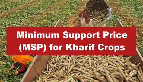 Cabinet Approves Increase In Msp For All Mandated Kharif Crops For 2023