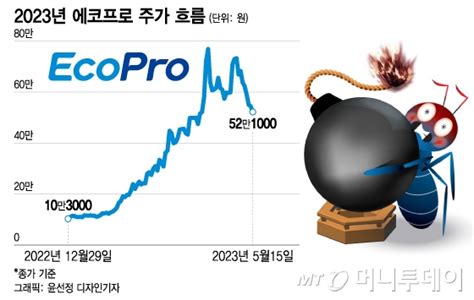 100만원 간다더니 에코프로 50만원대 속절없이 털썩 머니투데이