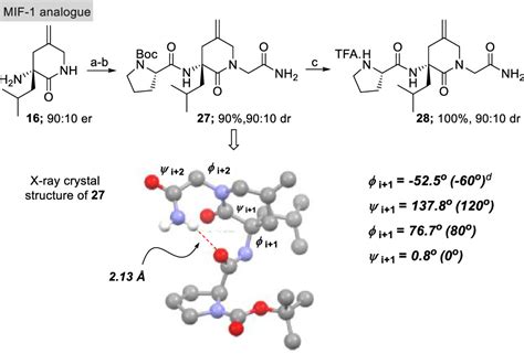 Asymmetric Synthesis of Functionalizable Type II β Turn Inducing α