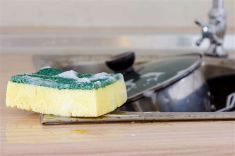 5 Types Of Cleaning Sponges And Where They Work Best