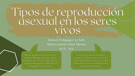 Calam O Atlas Biolog A Reproducci N Asexual