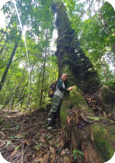 Instituto Tecnológico Vale Projeto Genômica Da Biodiversidade